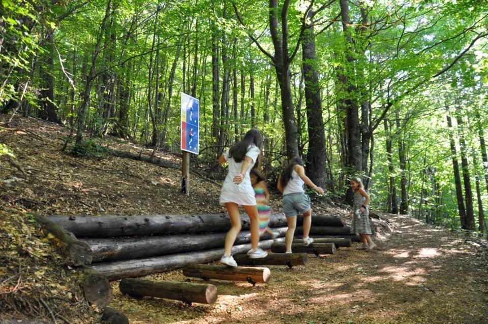 Hotel Snjezna Kuca - Nature Park Of Bosnia Herzegovina Padezina Εξωτερικό φωτογραφία