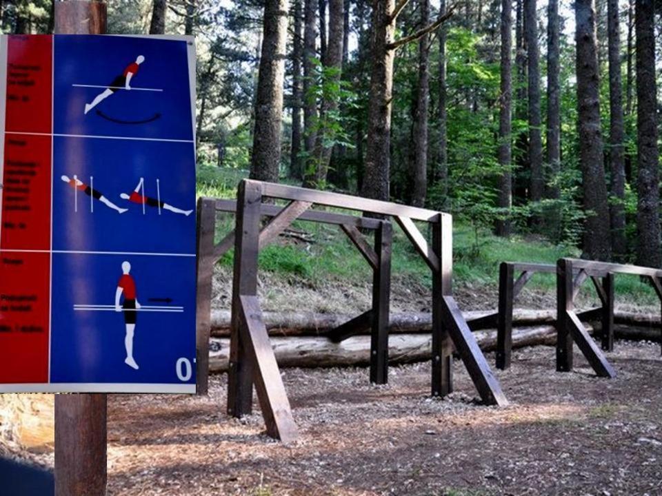 Hotel Snjezna Kuca - Nature Park Of Bosnia Herzegovina Padezina Εξωτερικό φωτογραφία