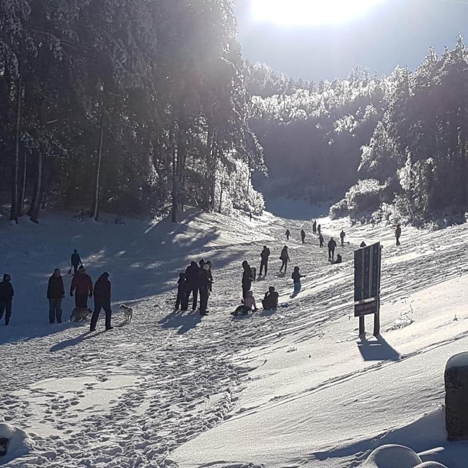 Hotel Snjezna Kuca - Nature Park Of Bosnia Herzegovina Padezina Εξωτερικό φωτογραφία