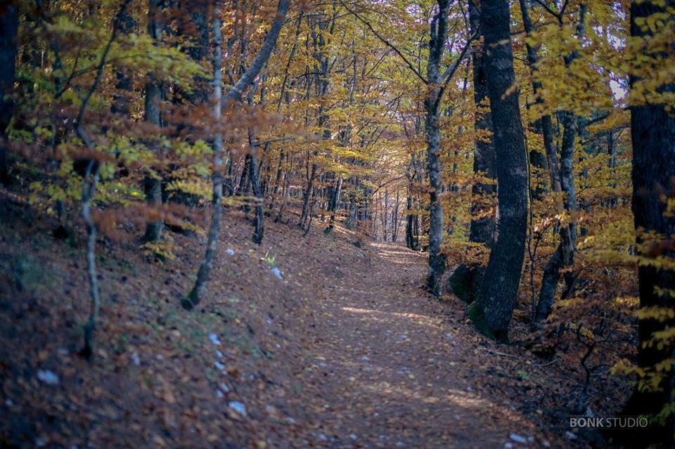 Hotel Snjezna Kuca - Nature Park Of Bosnia Herzegovina Padezina Εξωτερικό φωτογραφία